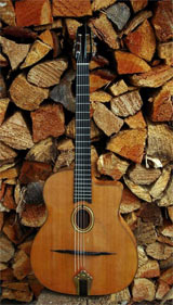 Shelly Park touring guitar